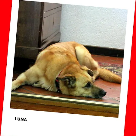 La Quiete Отель